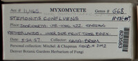 Image Associated With the Occurence